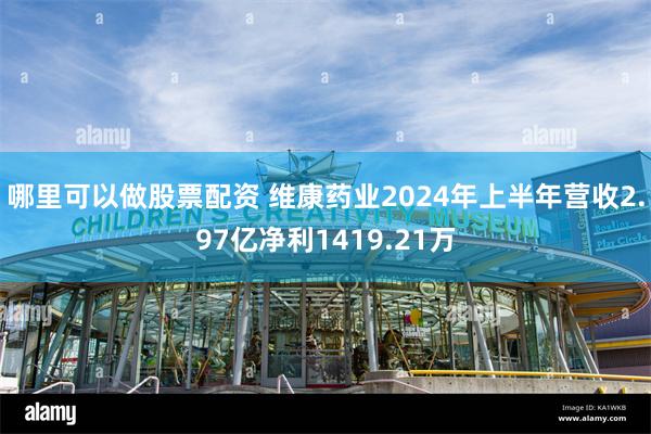 哪里可以做股票配资 维康药业2024年上半年营收2.97亿净利1419.21万