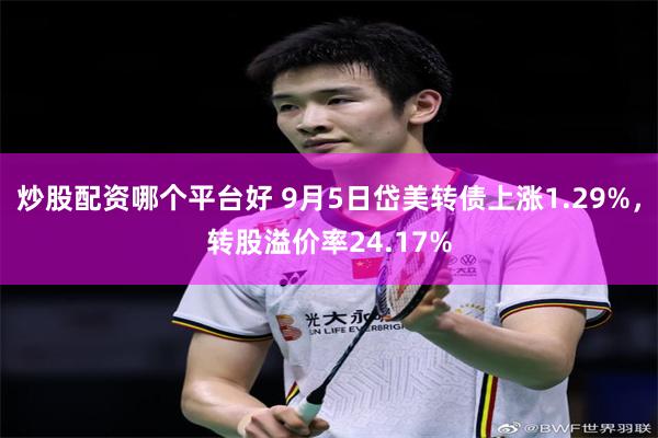 炒股配资哪个平台好 9月5日岱美转债上涨1.29%，转股溢价率24.17%