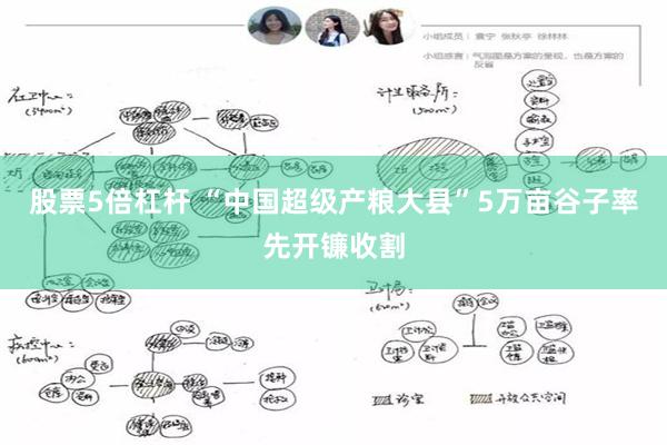 股票5倍杠杆 “中国超级产粮大县”5万亩谷子率先开镰收割