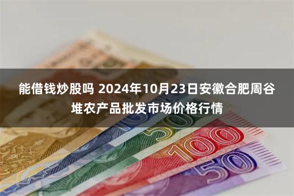 能借钱炒股吗 2024年10月23日安徽合肥周谷堆农产品批发市场价格行情