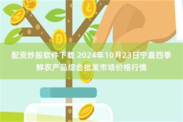 配资炒股软件下载 2024年10月23日宁夏四季鲜农产品综合批发市场价格行情