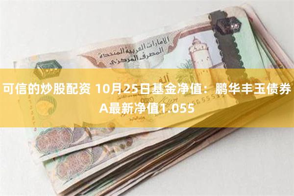 可信的炒股配资 10月25日基金净值：鹏华丰玉债券A最新净值1.055