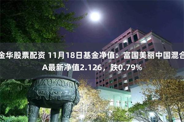 金华股票配资 11月18日基金净值：富国美丽中国混合A最新净值2.126，跌0.79%