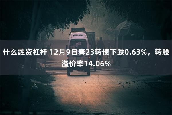 什么融资杠杆 12月9日春23转债下跌0.63%，转股溢价率14.06%