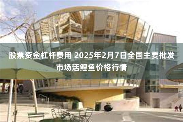 股票资金杠杆费用 2025年2月7日全国主要批发市场活鲤鱼价格行情