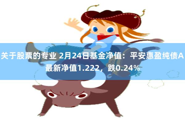 关于股票的专业 2月24日基金净值：平安惠盈纯债A最新净值1.222，跌0.24%