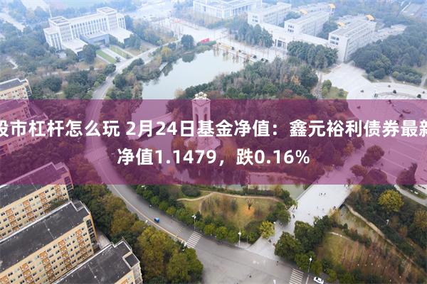 股市杠杆怎么玩 2月24日基金净值：鑫元裕利债券最新净值1.1479，跌0.16%